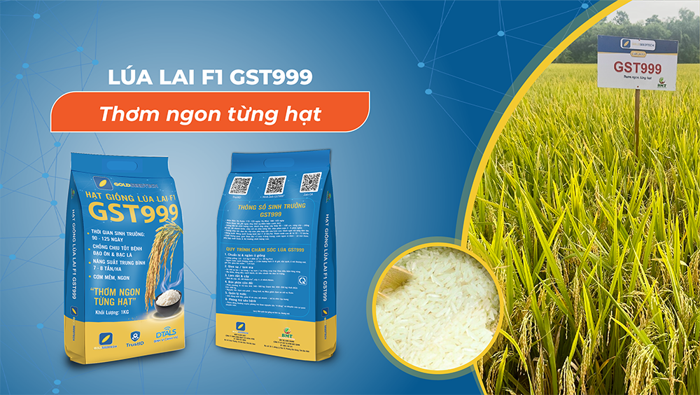 gst999