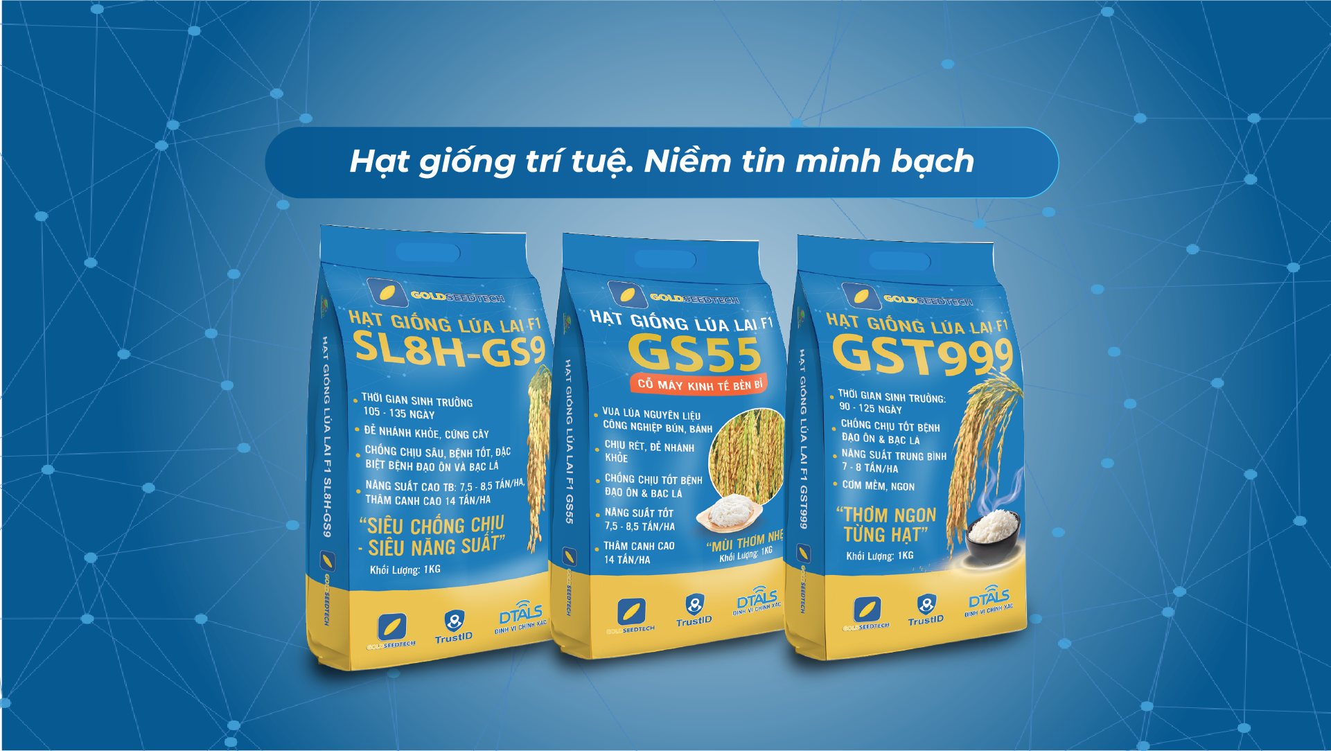 Banner giống lúa lai F1 2