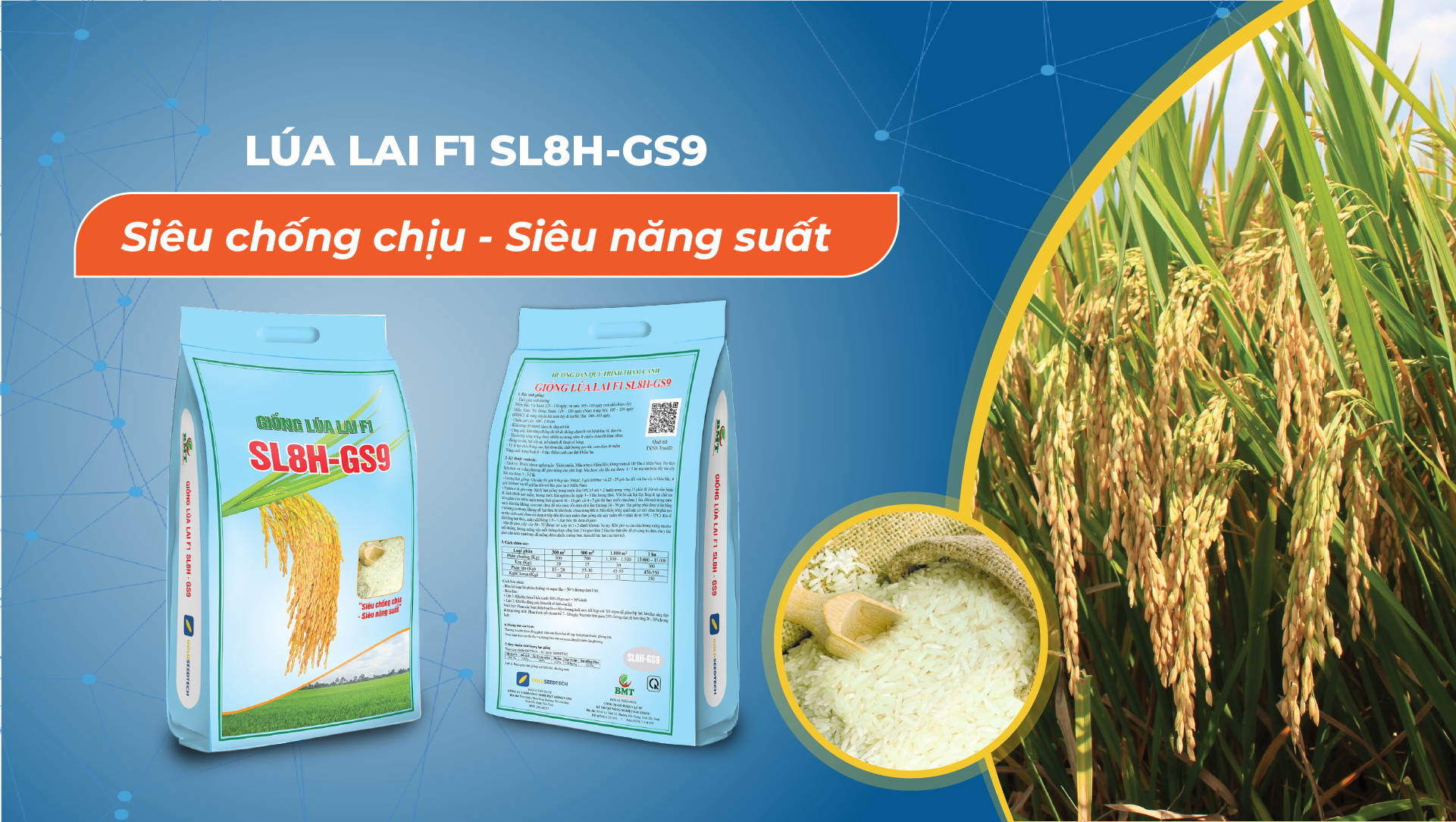 Banner giống lúa lai F1 SL8H-GS9 2