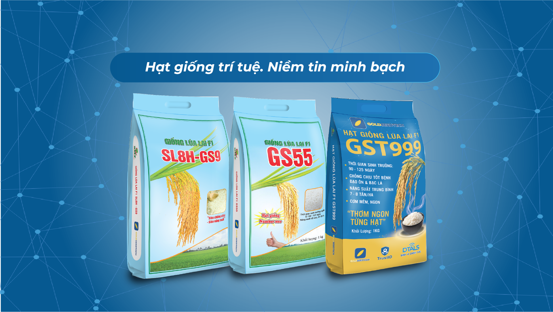 Banner giống lúa lai F1 2