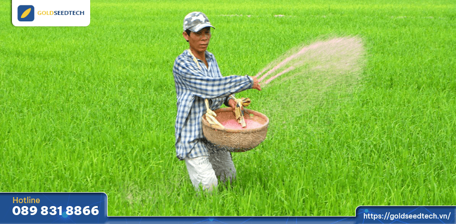 Bổ sung phân bón giai đoạn đón đòng