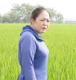 Chị Lan