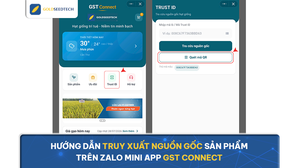 Hướng dẫn truy xuất nguồn gốc sản phẩm trên Zalo Mini App GST Connect