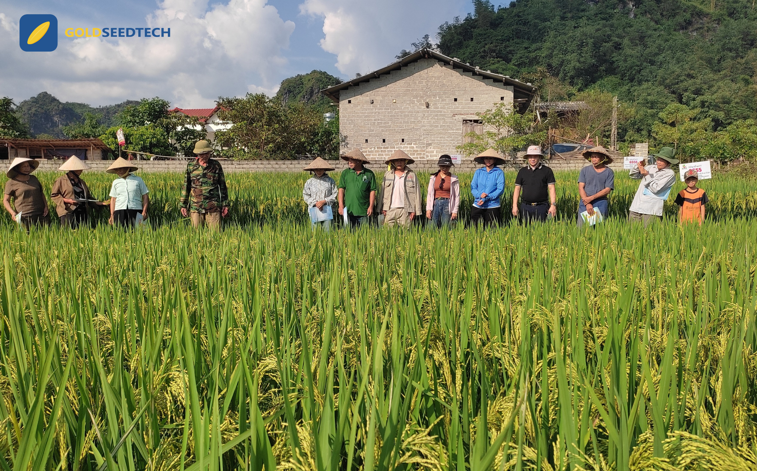 Lan tỏa Trí tuệ