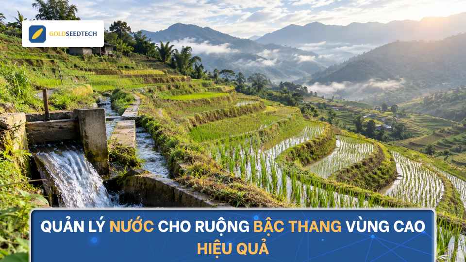 Quản Lý Nước Cho Ruộng Bậc Thang Vùng Núi Cao Hiệu Quả