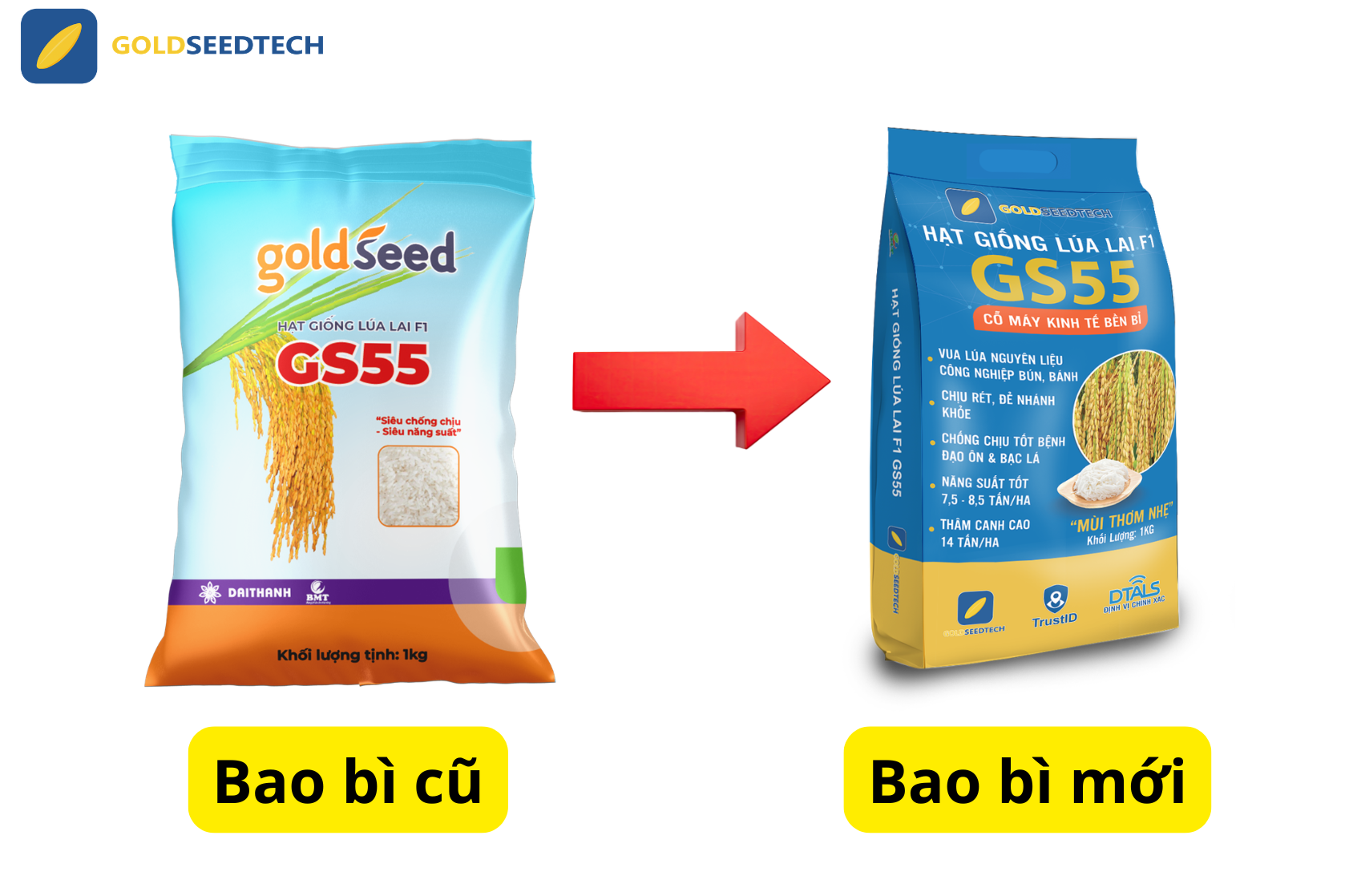 thay-doi-bao-bi-gs55